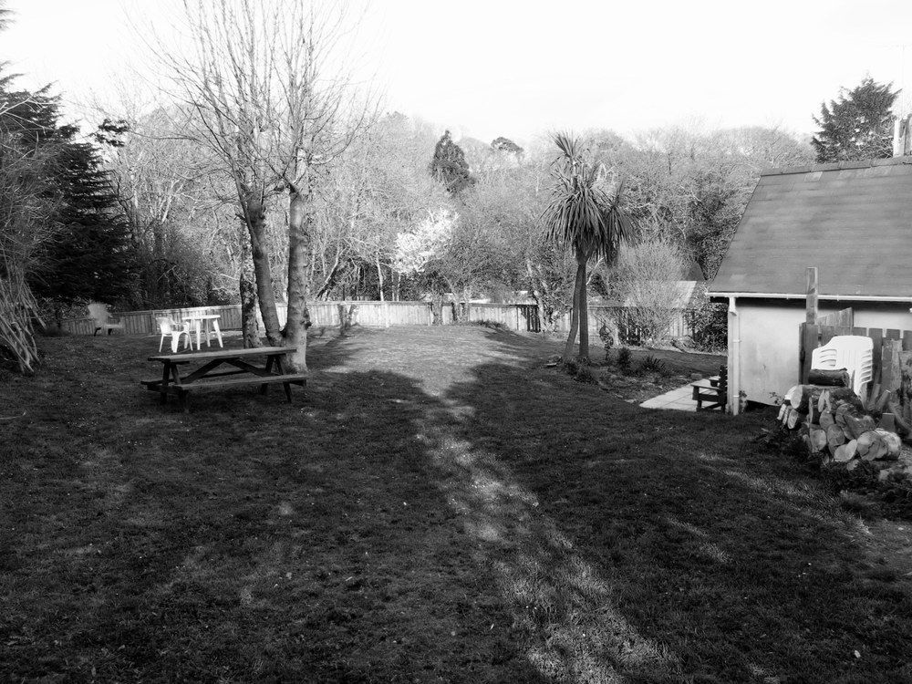 Ivybridge