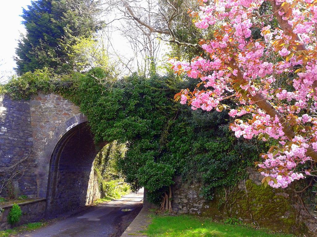 Ivybridge Hotel 3*